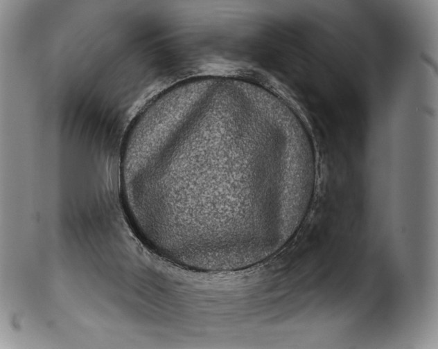 X0000102240011200808081447