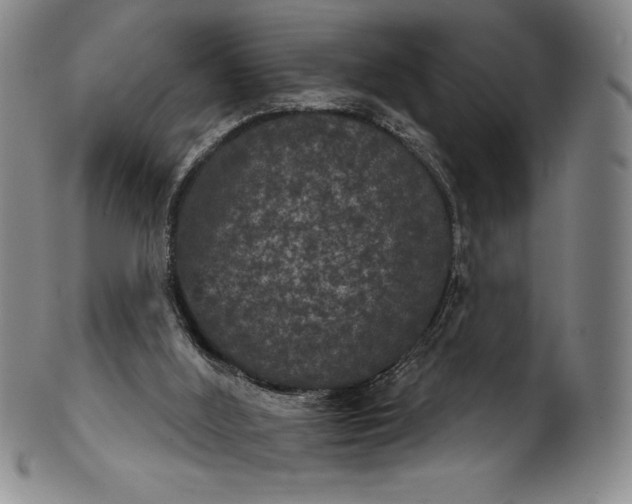 X0000102240012200808081447