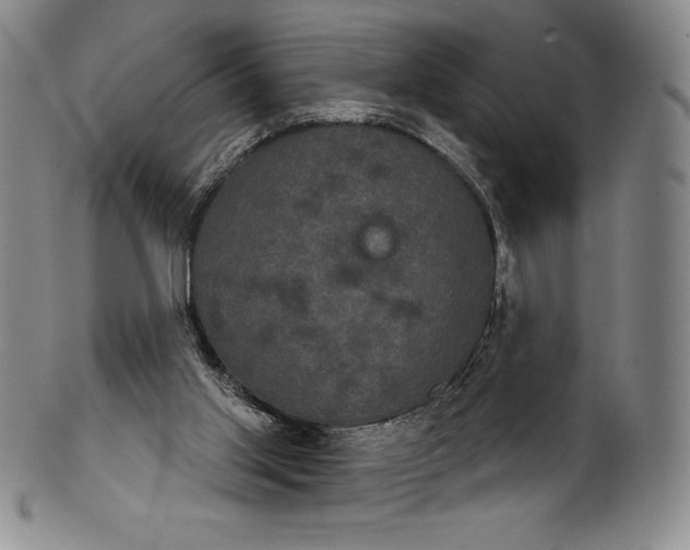 X0000102240013200808081447