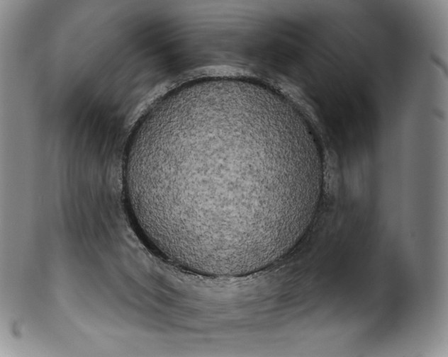 X0000102240015200808081447