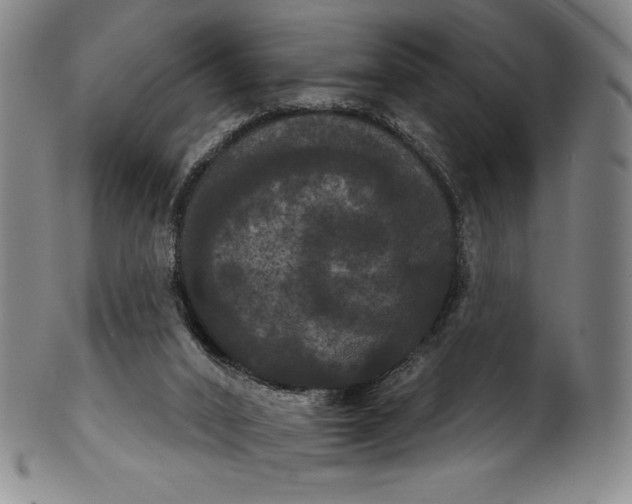 X0000102240016200808081447