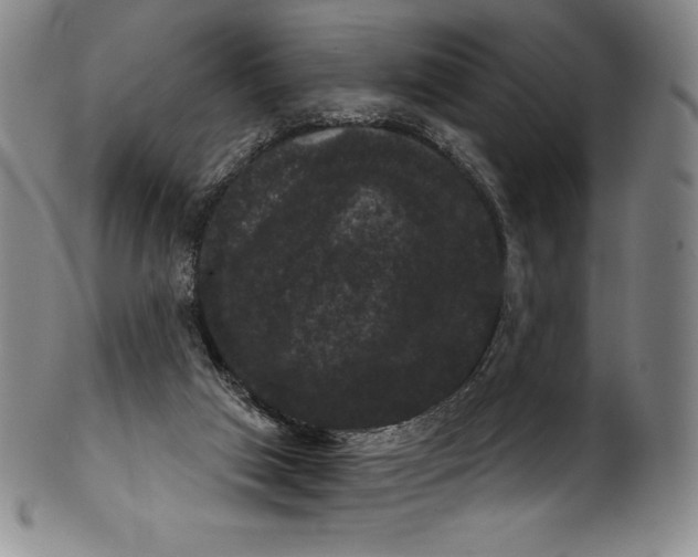 X0000102240017200808081447