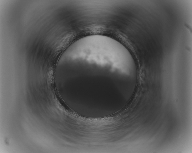 X0000102240018200808081447