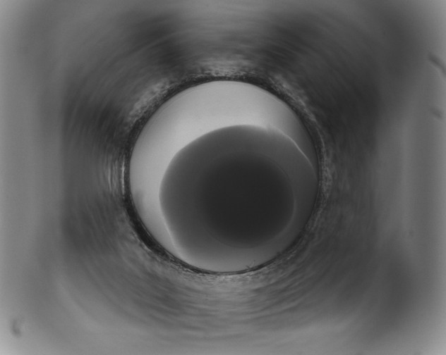 X0000102240019200808081447