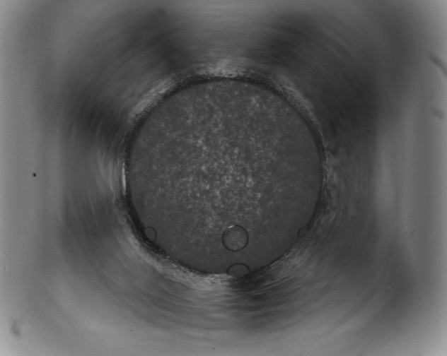 X0000102240020200808081447