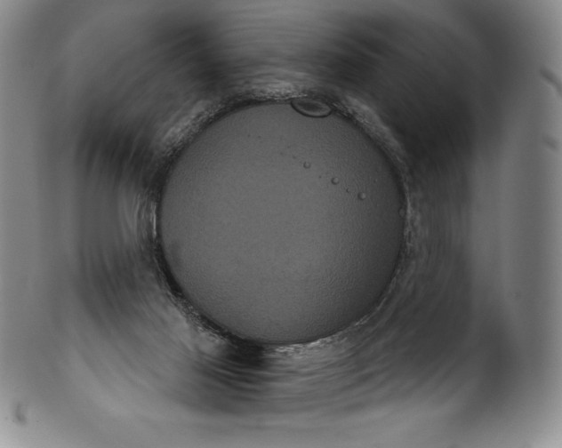 X0000102240021200808081447