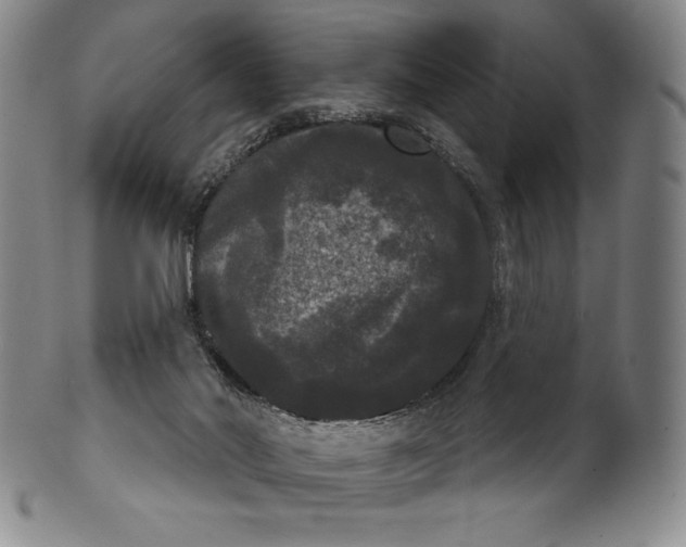 X0000102240022200808081447