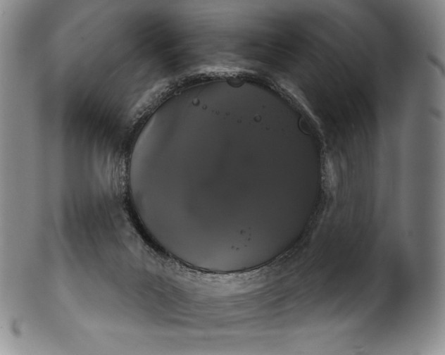 X0000102240023200808081447