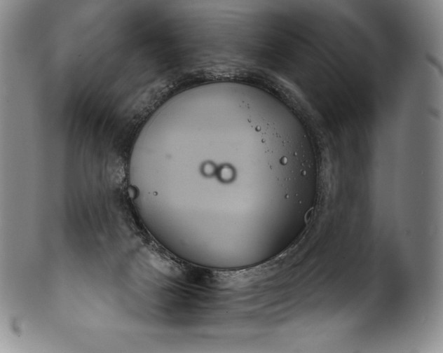 X0000102240025200808081447