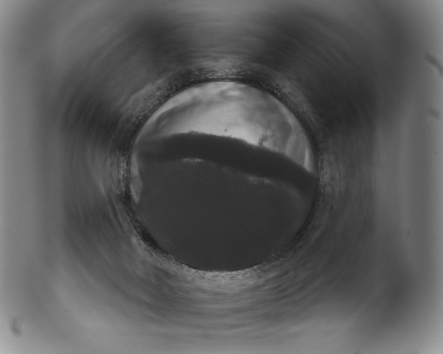 X0000102240026200808081446