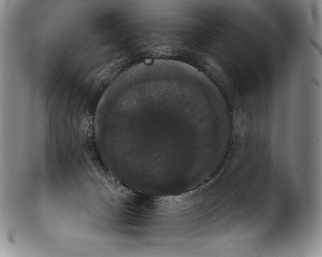 X0000102240029200808081446