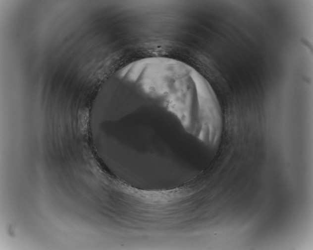 X0000102240030200808081446