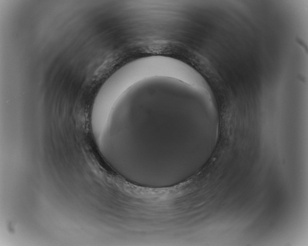 X0000102240031200808081446