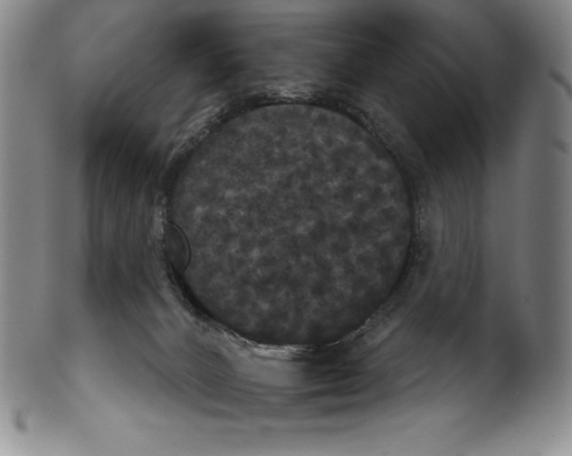 X0000102240032200808081446