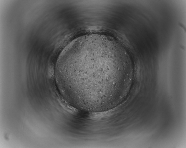 X0000102240033200808081446