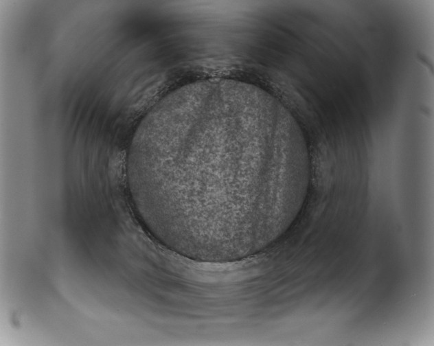 X0000102240034200808081446