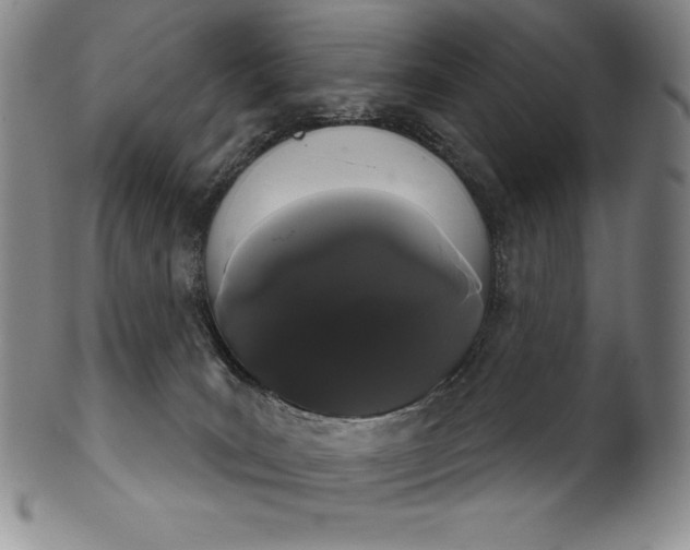 X0000102240035200808081446