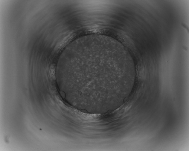 X0000102240036200808081446