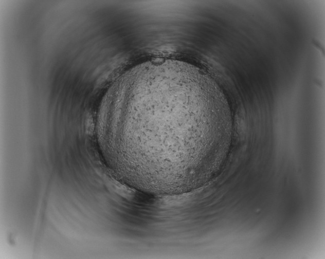 X0000102240037200808081446