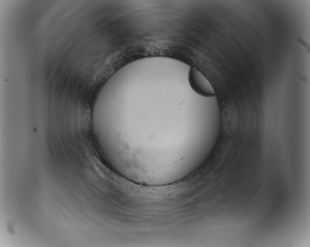 X0000102240038200808081446