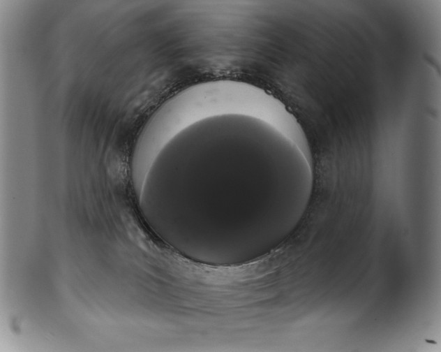 X0000102240039200808081446