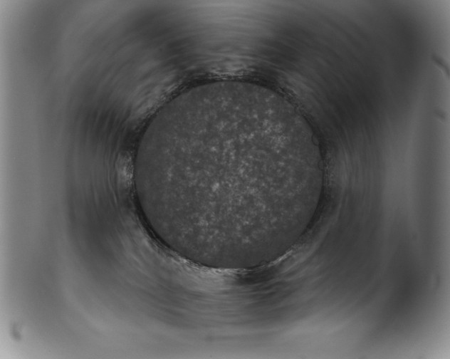 X0000102240040200808081446