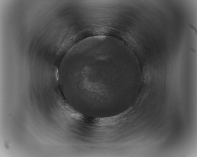 X0000102240041200808081446