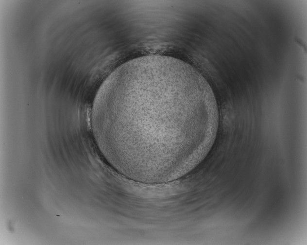 X0000102240042200808081446