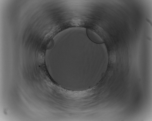 X0000102240043200808081446