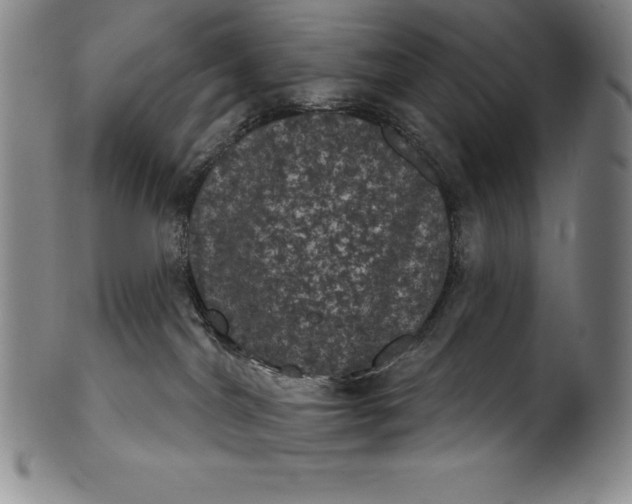 X0000102240044200808081446