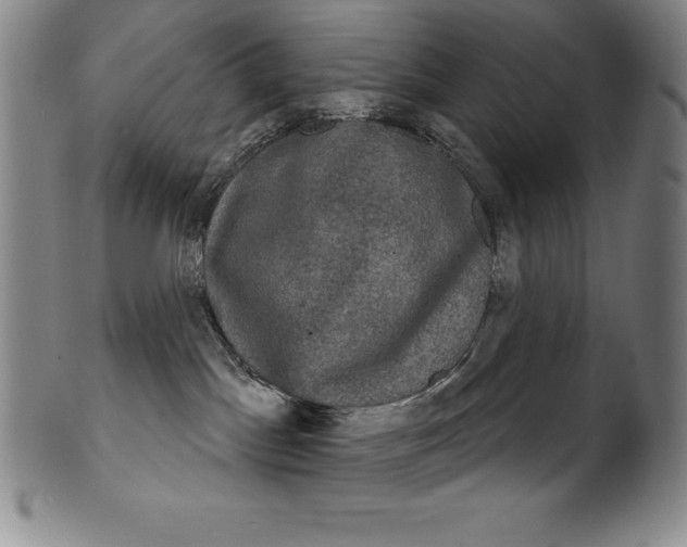 X0000102240045200808081446