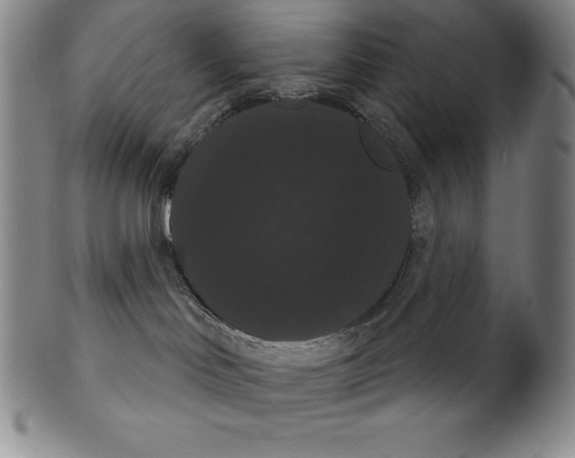 X0000102240046200808081446