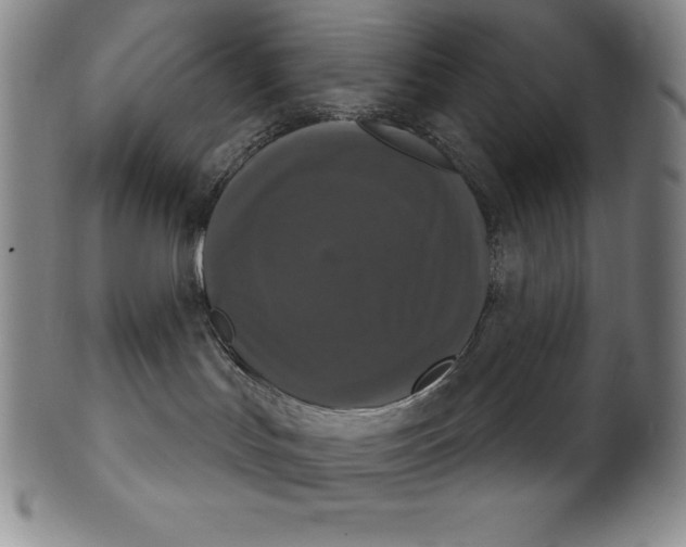 X0000102240047200808081446