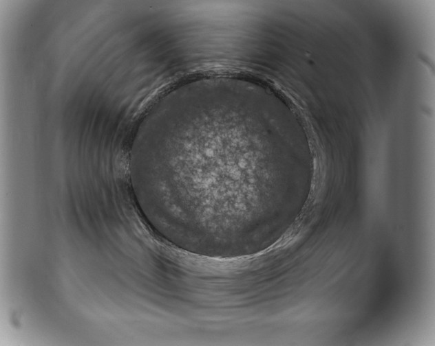 X0000102240048200808081446