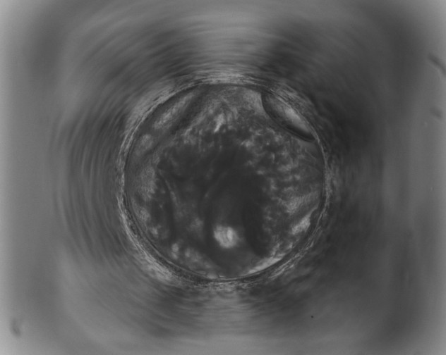 X0000102240049200808081445