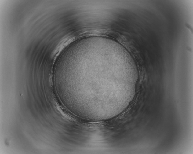 X0000102240050200808081445