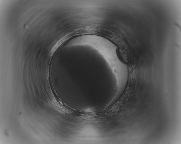 X0000102240051200808081445