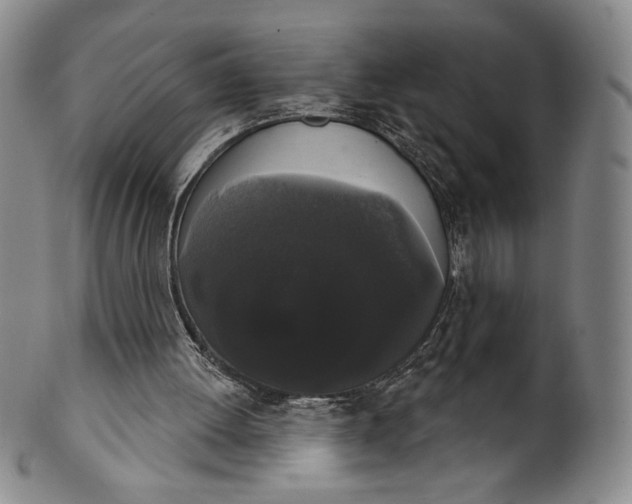 X0000102240052200808081445