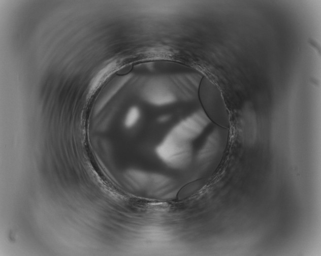 X0000102240053200808081445