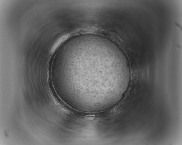 X0000102240054200808081446