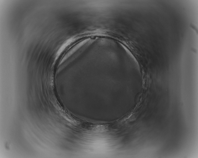 X0000102240056200808081446