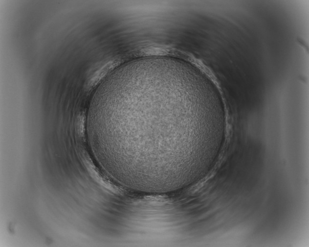 X0000102240057200808081446