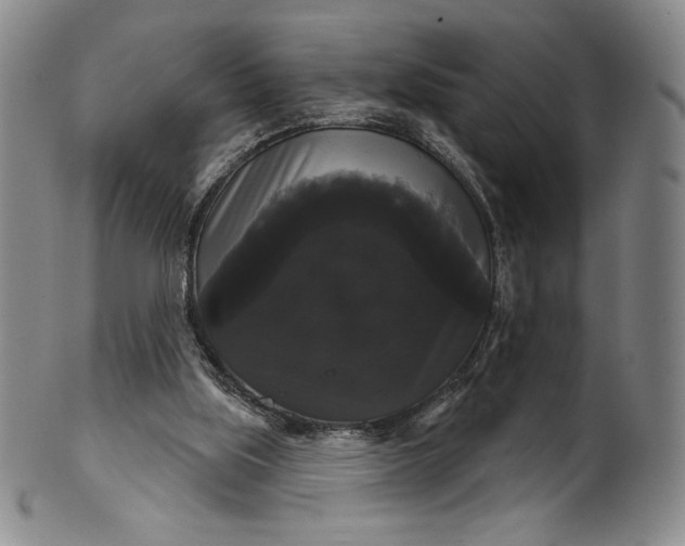 X0000102240059200808081446