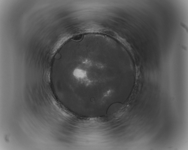 X0000102240060200808081446