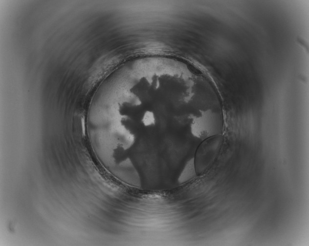 X0000102240061200808081446