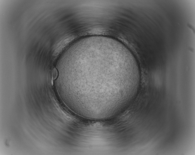 X0000102240062200808081446