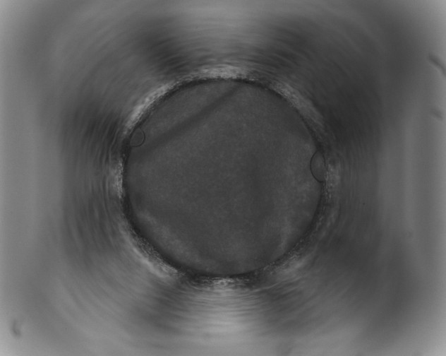 X0000102240064200808081446