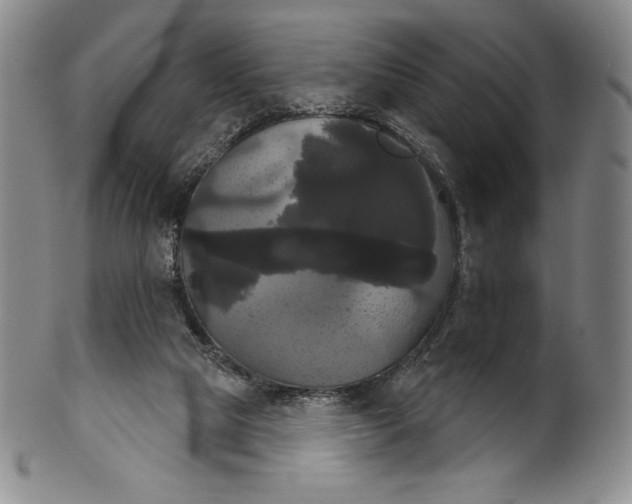 X0000102240065200808081446