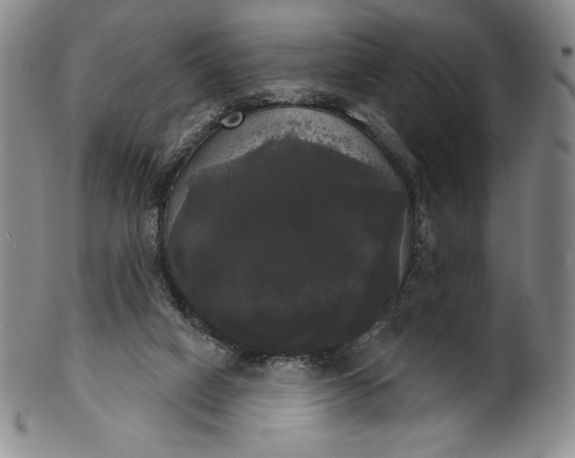 X0000102240066200808081446