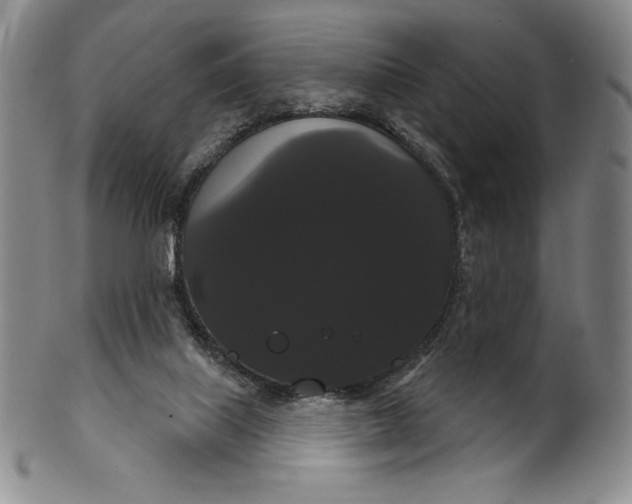 X0000102240067200808081446